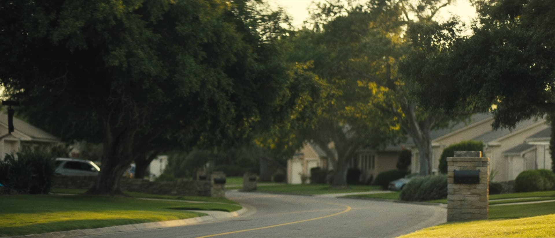 An oak-lined residential street at golden hour